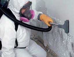 Best Dehumidification Services  in Cumming, GA